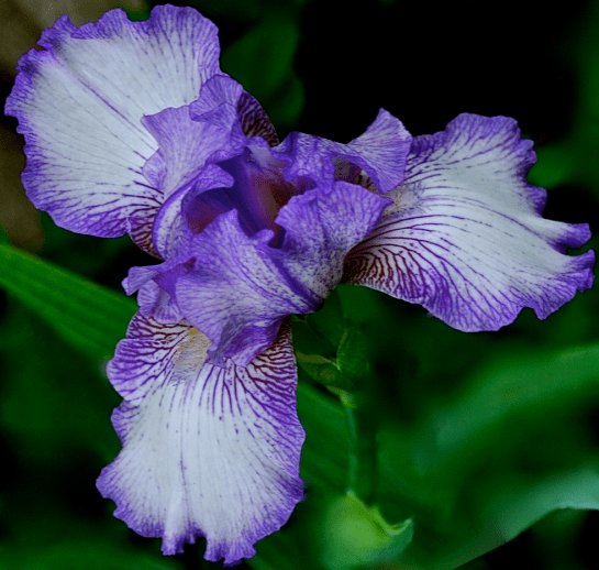 Screen Shot 2016-11-05 at 6.24.41 PM.png