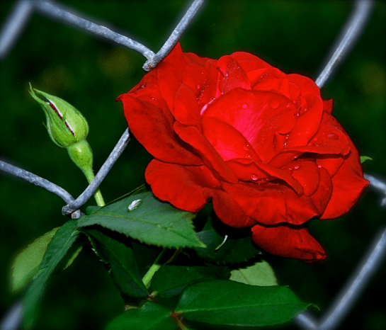 Screen Shot 2016-11-05 at 6.29.48 PM.png