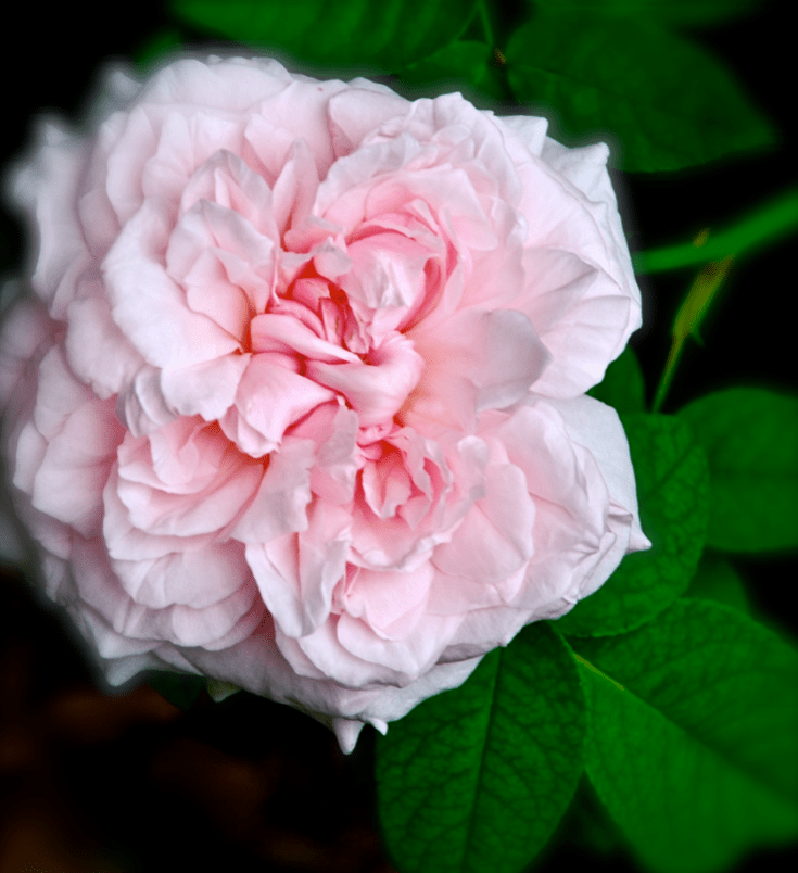 Screen Shot 2016-11-06 at 6.16.12 PM.png