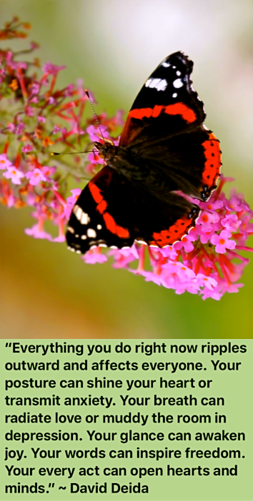 Screen Shot 2016-11-06 at 8.49.15 PM.png