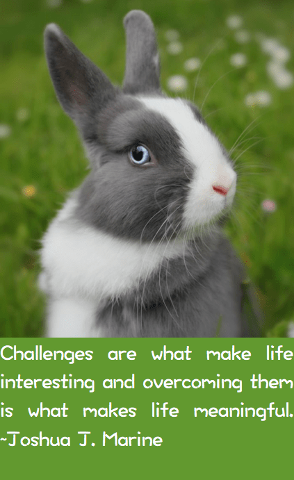 Screen Shot 2016-11-07 at 10.10.11 PM.png