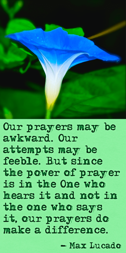 Screen Shot 2016-11-07 at 10.19.56 PM.png