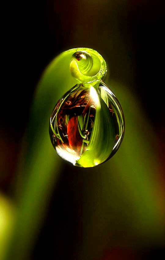 Screen Shot 2016-11-07 at 6.13.37 PM.png