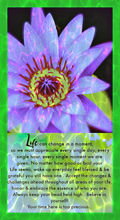 Screen Shot 2016-11-08 at 2.32.27 PM.png