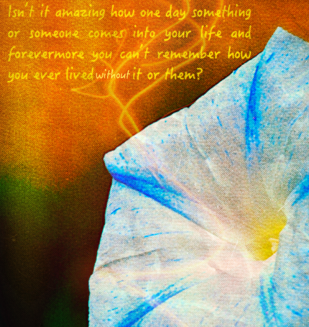 Screen Shot 2016-11-09 at 1.02.20 PM.png