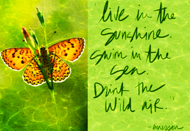 Screen Shot 2016-11-10 at 9.36.03 PM.png