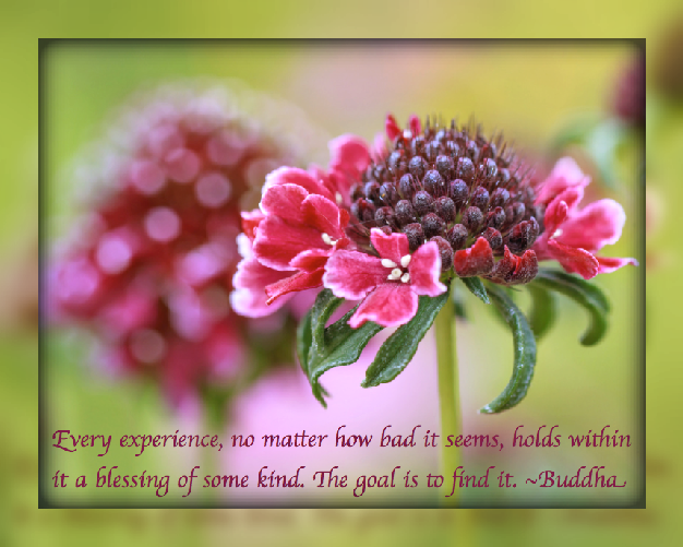 Screen Shot 2016-11-10 at 9.50.18 PM.png