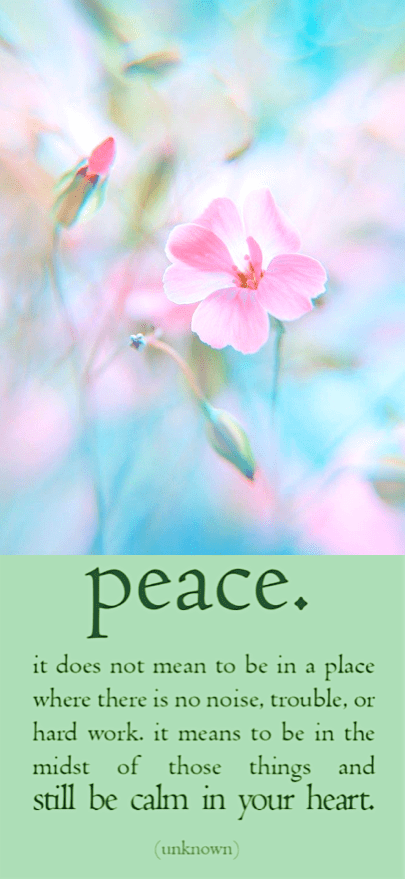 Screen Shot 2016-11-11 at 8.16.08 PM.png