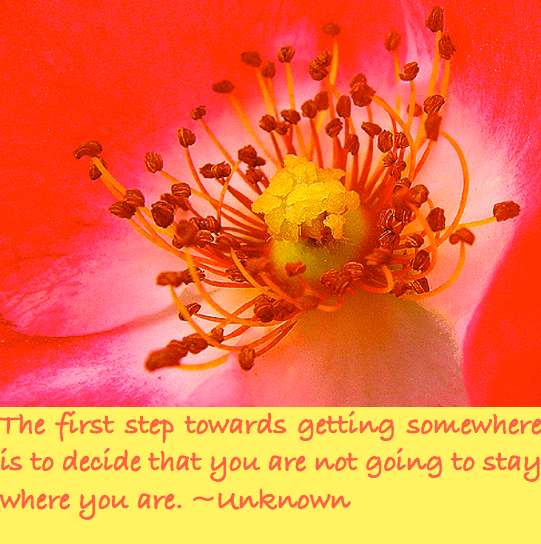 Screen Shot 2016-11-11 at 8.50.45 PM.png