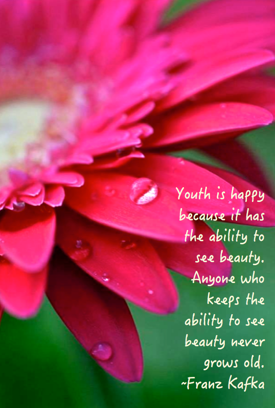 Screen Shot 2016-11-12 at 9.08.04 PM.png