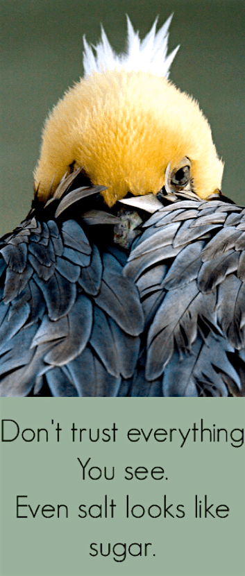 Screen Shot 2016-11-12 at 9.29.04 PM.png