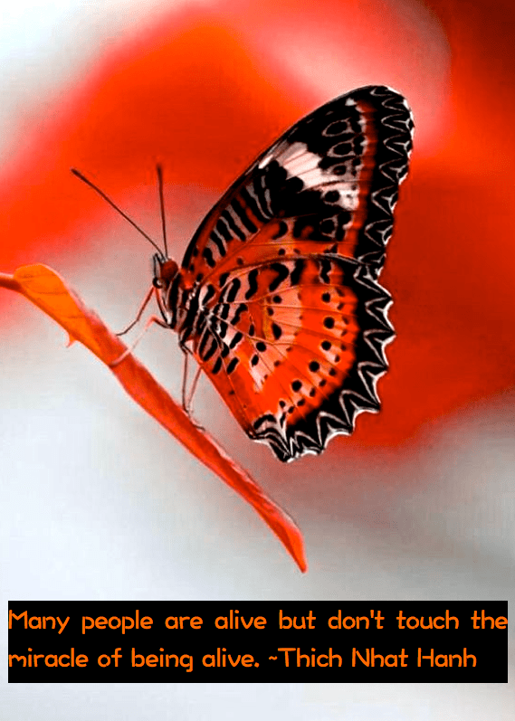 Screen Shot 2016-11-12 at 9.40.22 PM.png