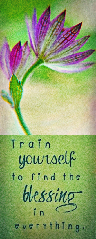 Screen Shot 2016-11-13 at 10.44.52 PM.png