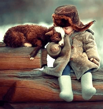 Screen Shot 2016-11-14 at 6.32.18 PM.png