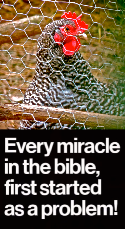 Screen Shot 2016-11-15 at 10.27.04 PM.png