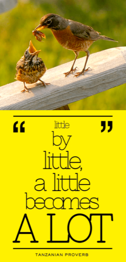 Screen Shot 2016-11-15 at 10.37.27 PM.png