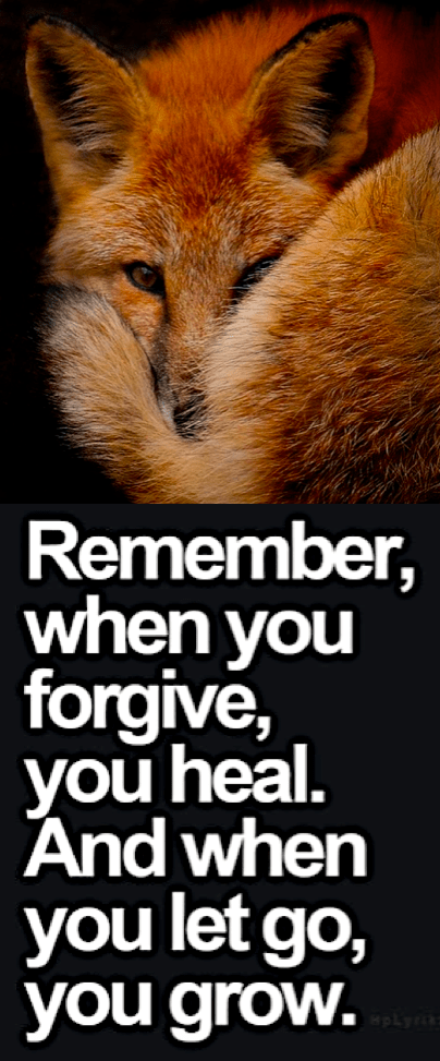 Screen Shot 2016-11-15 at 10.43.32 PM.png