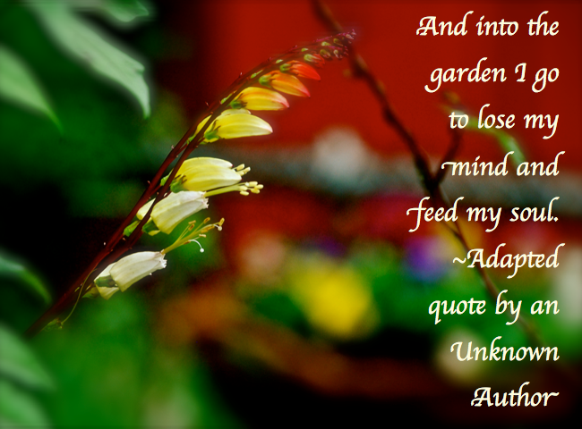 Screen Shot 2016-11-15 at 10.56.53 PM.png