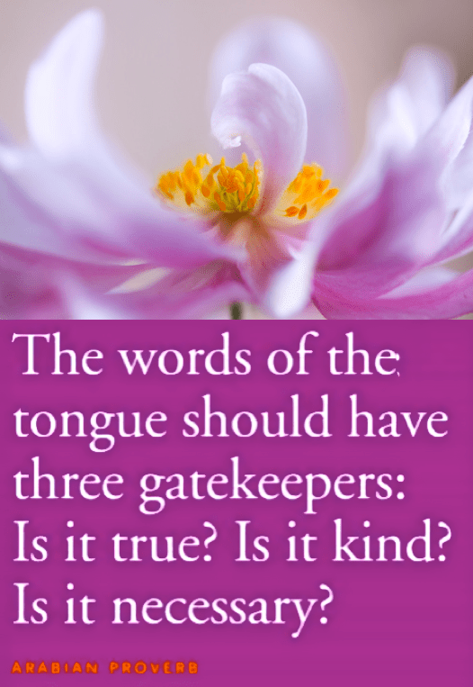 Screen Shot 2016-11-16 at 10.05.05 PM.png