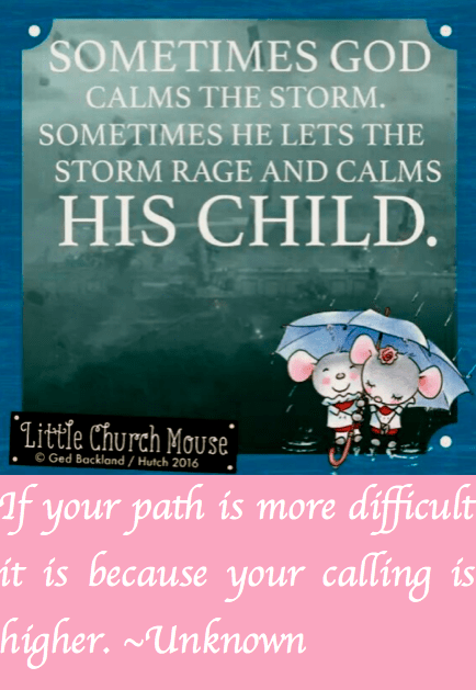 Screen Shot 2016-11-16 at 9.37.30 PM.png