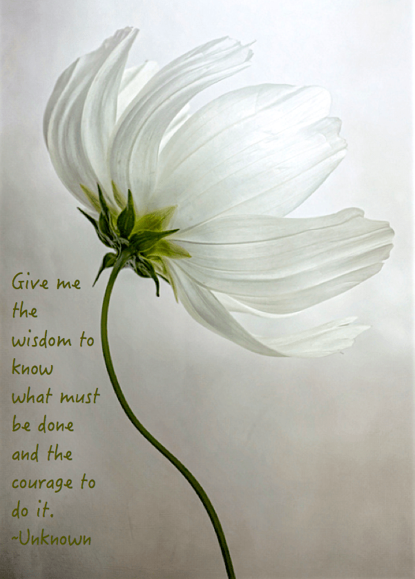 Screen Shot 2016-11-16 at 9.44.25 PM.png