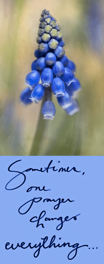 Screen Shot 2016-11-16 at 9.49.09 PM.png