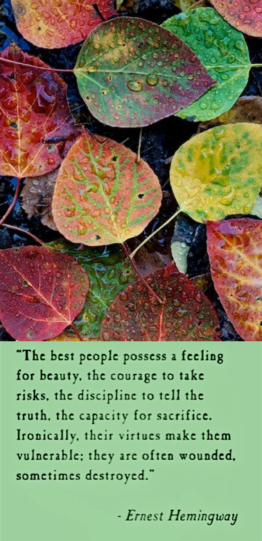 Screen Shot 2016-11-18 at 9.32.49 PM.png