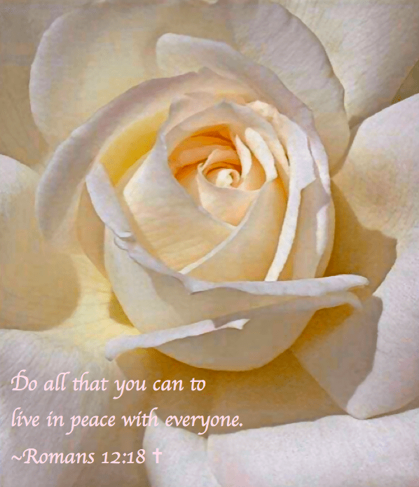 Screen Shot 2016-11-21 at 8.21.11 PM.png