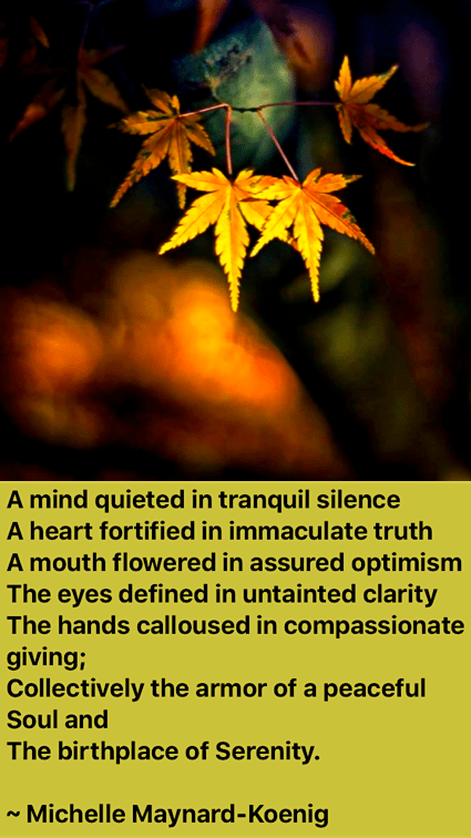 Screen Shot 2016-11-21 at 8.36.00 PM.png