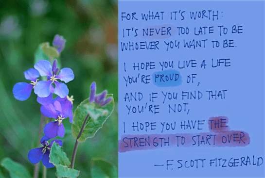 Screen Shot 2016-11-21 at 8.45.50 PM.png