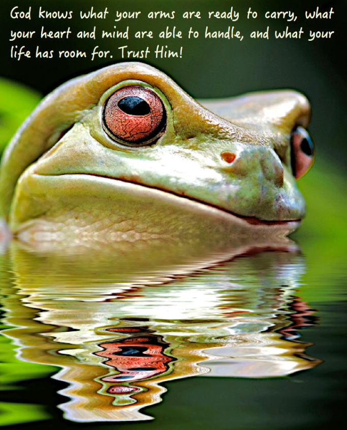 Screen Shot 2016-11-21 at 8.57.57 PM.png