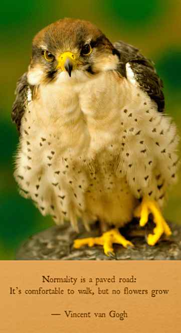 Screen Shot 2016-11-21 at 9.01.06 PM.png