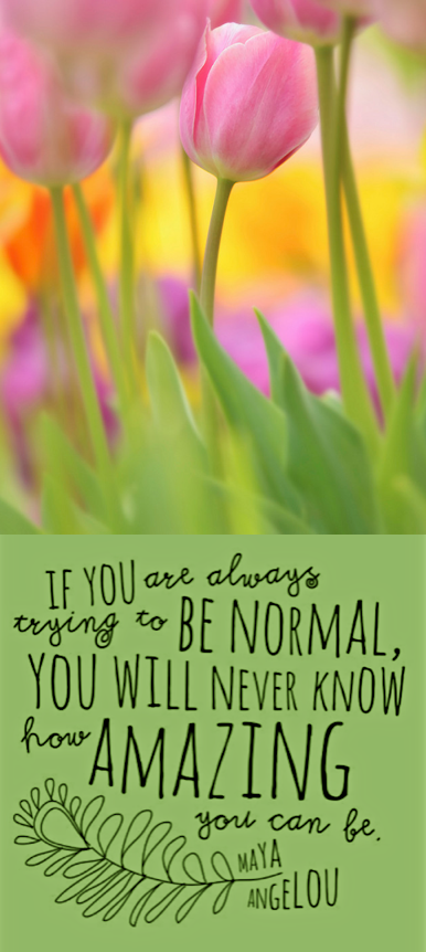 Screen Shot 2016-11-21 at 9.04.35 PM.png