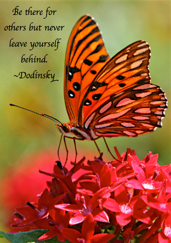 Screen Shot 2016-11-21 at 9.08.15 PM.png