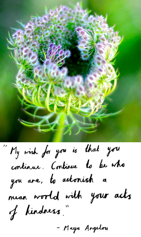 Screen Shot 2016-11-21 at 9.24.18 PM.png