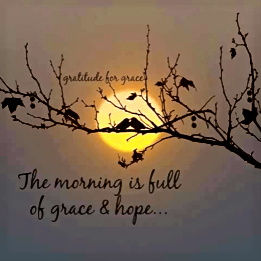 Screen Shot 2016-11-22 at 7.54.09 PM.png