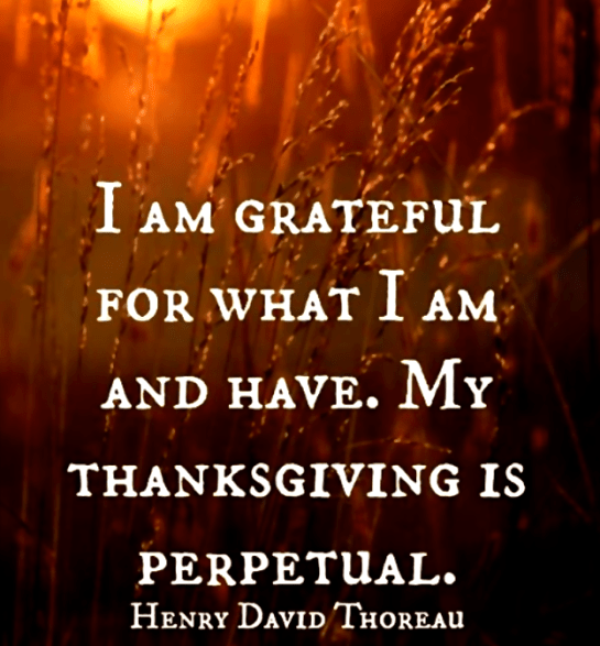 Screen Shot 2016-11-22 at 7.56.30 PM.png