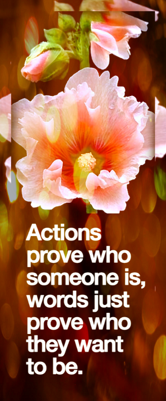 Screen Shot 2016-11-22 at 8.11.56 PM.png