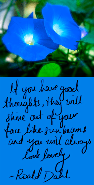 Screen Shot 2016-11-22 at 8.51.06 PM.png