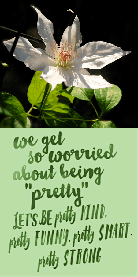 Screen Shot 2016-11-22 at 9.00.32 PM.png