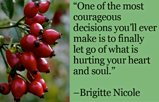 Screen Shot 2016-11-22 at 9.03.24 PM.png