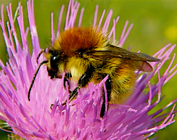 Screen Shot 2016-11-22 at 9.38.17 PM.png