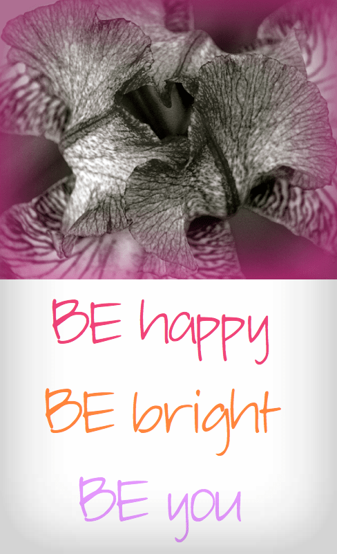 Screen Shot 2016-11-27 at 10.08.01 PM.png