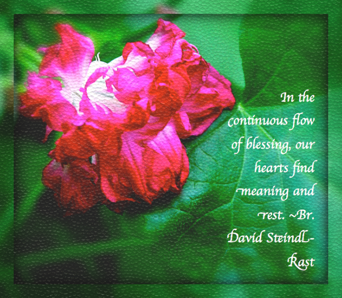 Screen Shot 2016-11-27 at 10.20.48 PM.png