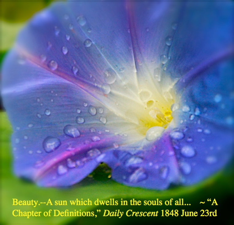 Screen Shot 2016-11-27 at 10.55.03 AM.png