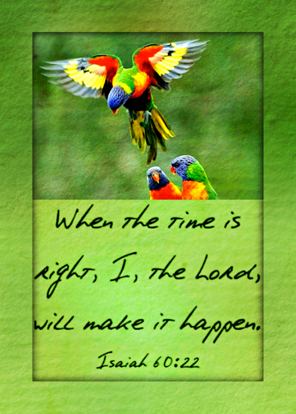 Screen Shot 2016-11-27 at 9.09.33 PM.png