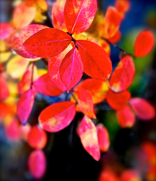 Screen Shot 2016-11-29 at 8.38.24 PM.png