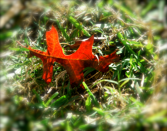 Screen Shot 2016-11-29 at 8.39.12 PM.png