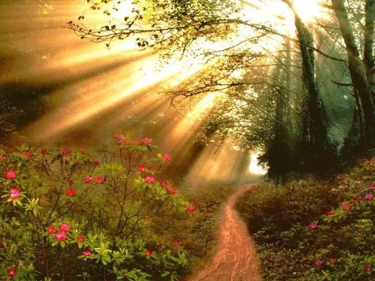 15193553_1490674117612886_3420083355831387686_n