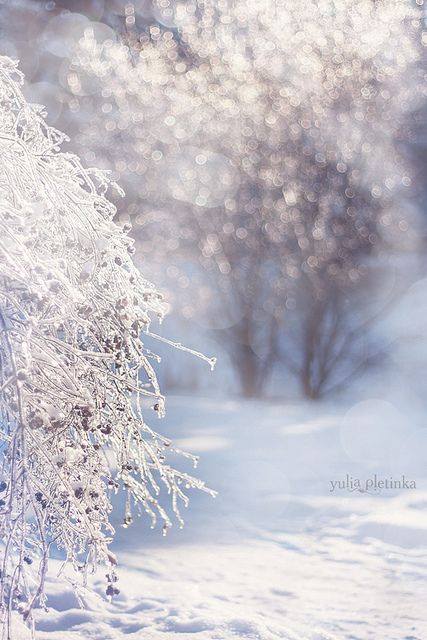 15590347_1219573838121946_4001041585119133197_n